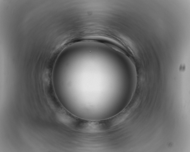 X0000091970121200709061340