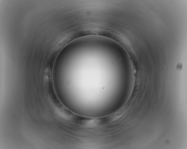 X0000091970122200709061340