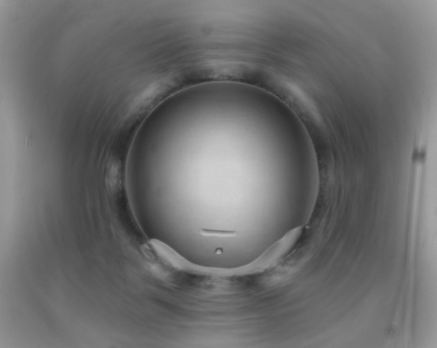 X0000091970123200709061340