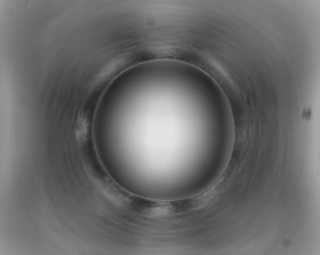 X0000091970124200709061340