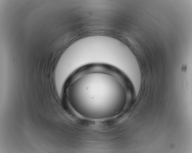 X0000091970125200709061340