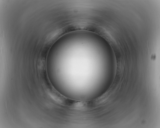 X0000091970126200709061340
