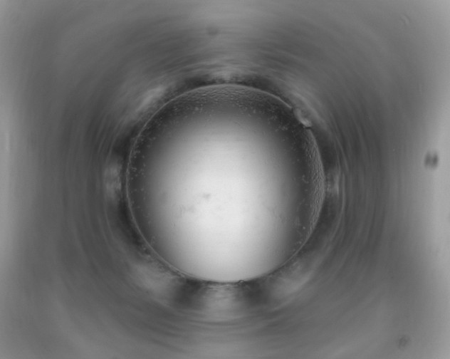 X0000091970127200709061340