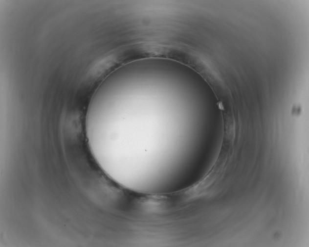 X0000091970128200709061340