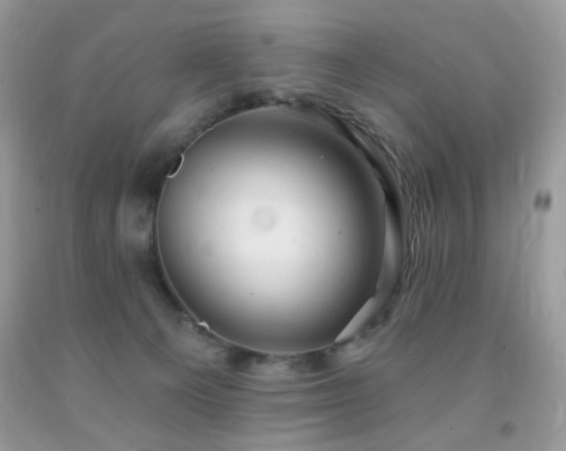 X0000091970129200709061340
