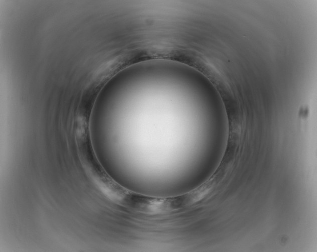 X0000091970130200709061340