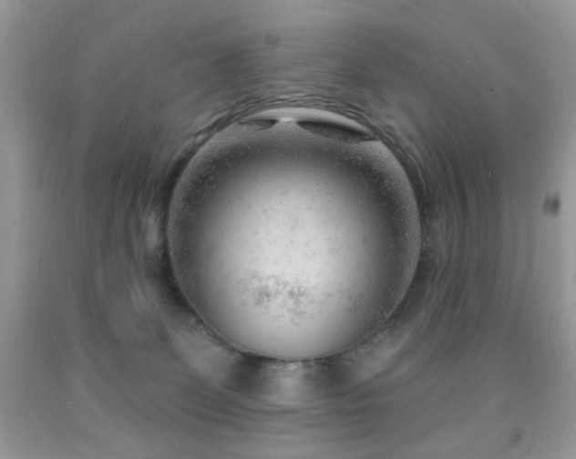 X0000091970131200709061340