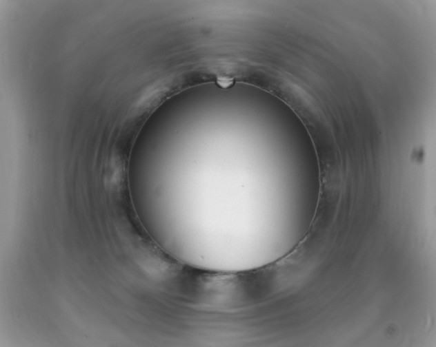 X0000091970132200709061340