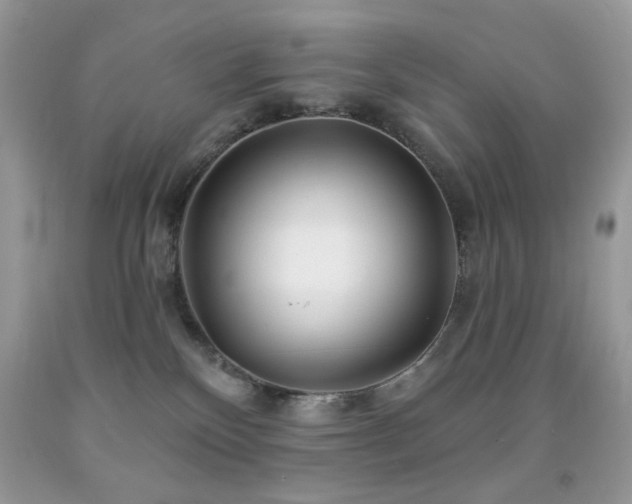 X0000091970136200709061340