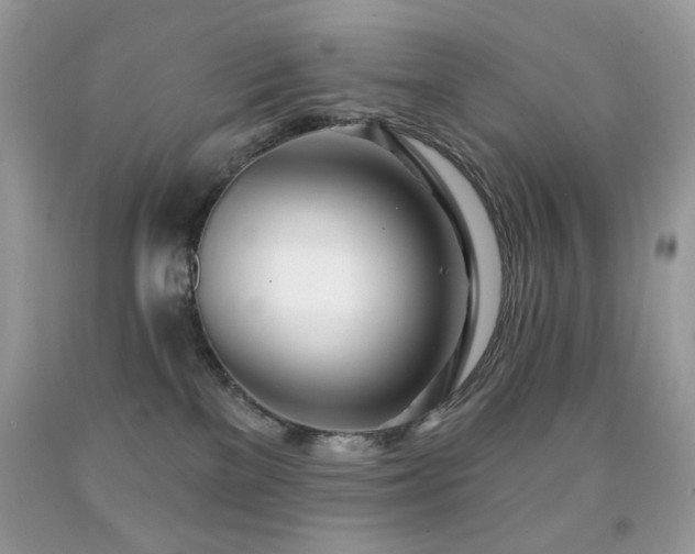 X0000091970137200709061340