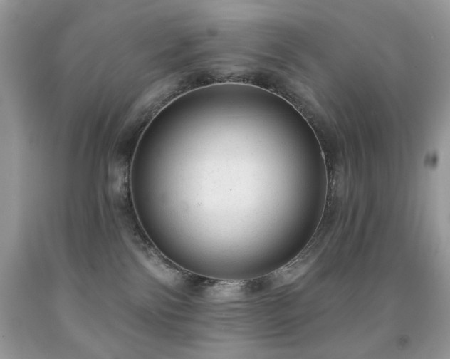 X0000091970138200709061340