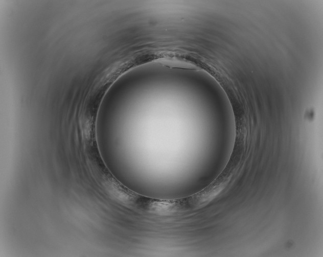 X0000091970139200709061340