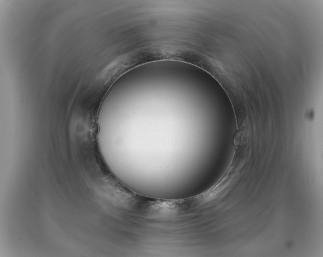 X0000091970140200709061340