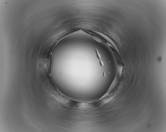 X0000091970141200709061340