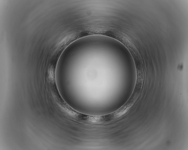 X0000091970143200709061340