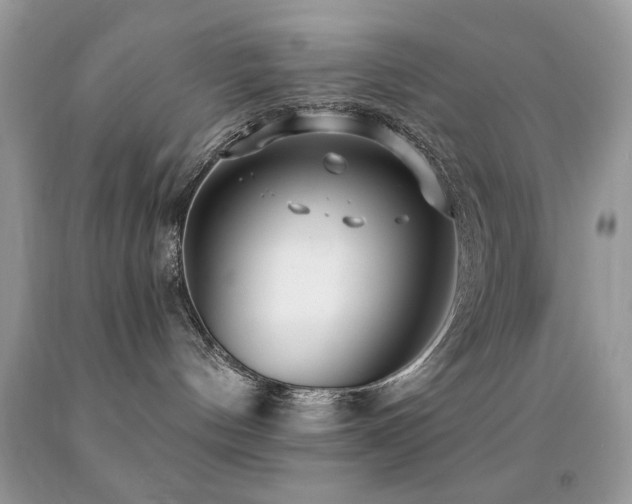 X0000091970144200709061340
