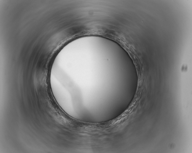 X0000091970146200709061339