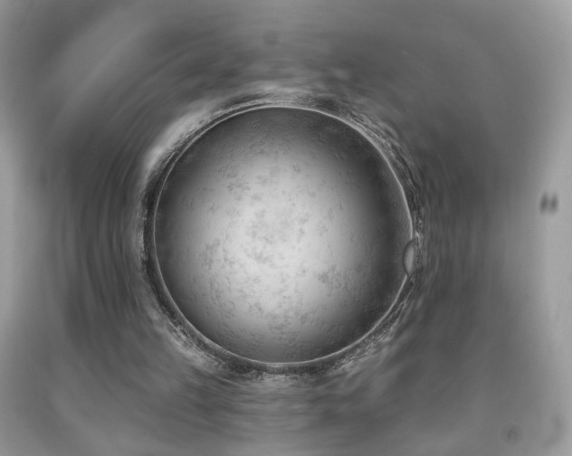 X0000091970149200709061340