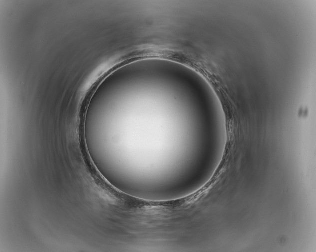 X0000091970150200709061340