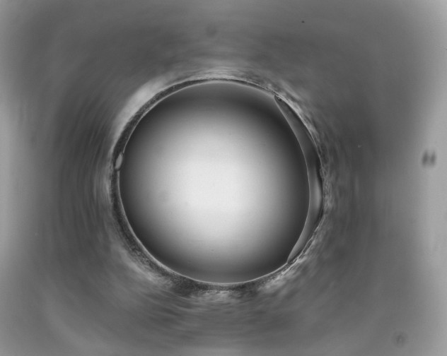 X0000091970152200709061340