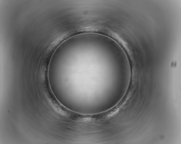 X0000091970153200709061340