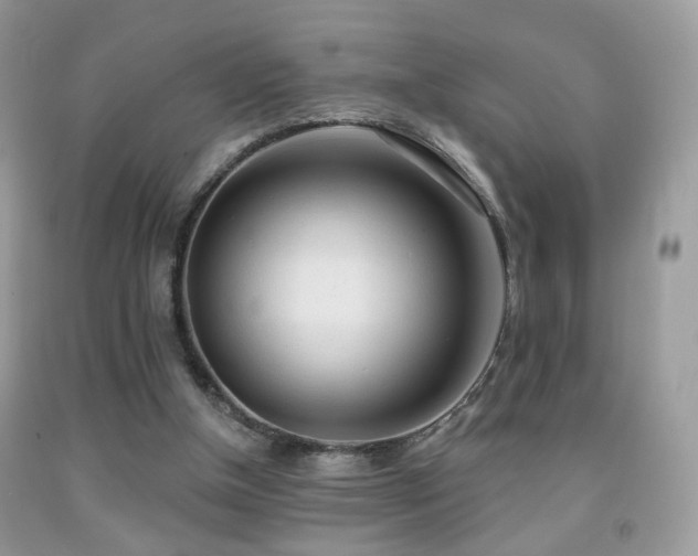 X0000091970154200709061340