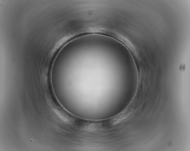 X0000091970155200709061340