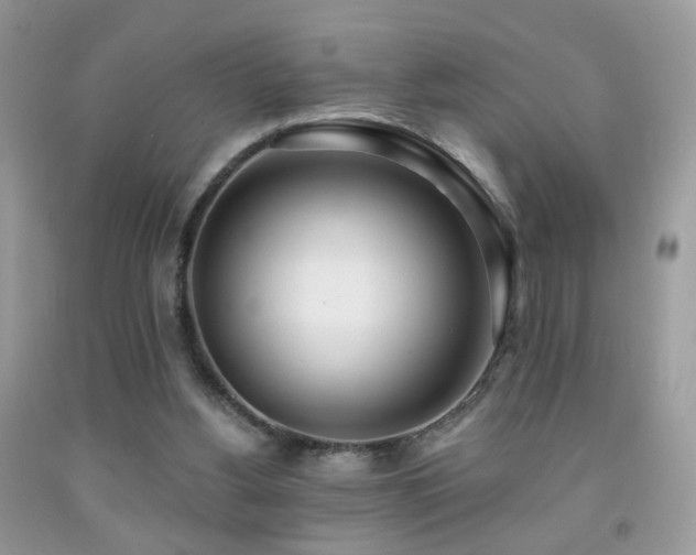 X0000091970156200709061340