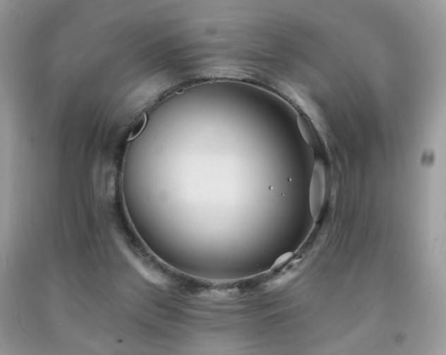X0000091970157200709061340