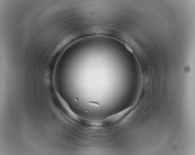 X0000091970158200709061340