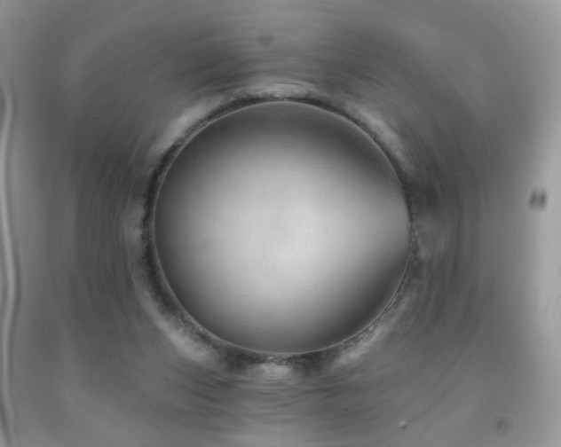 X0000091970159200709061340