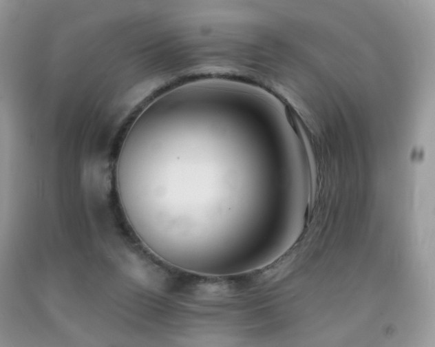 X0000091970160200709061340
