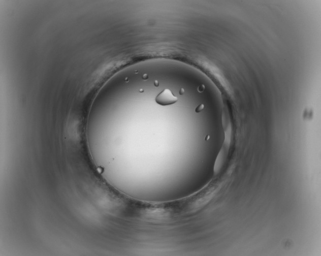X0000091970161200709061340