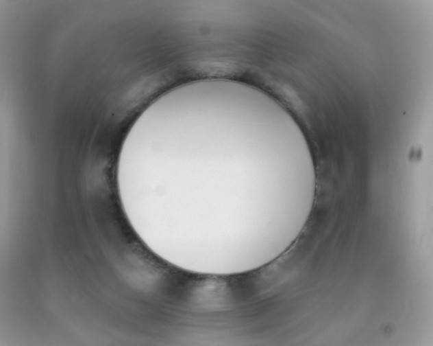 X0000091970162200709061340