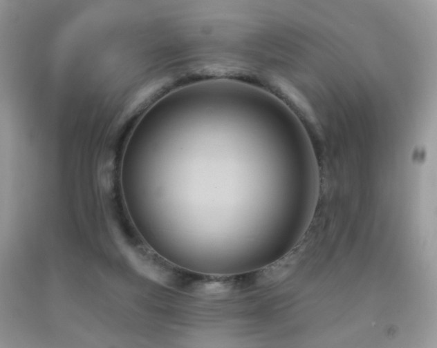 X0000091970163200709061340