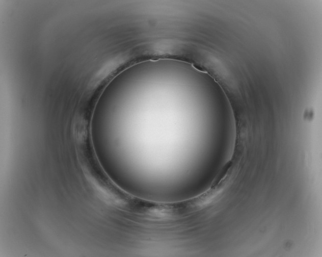 X0000091970164200709061340