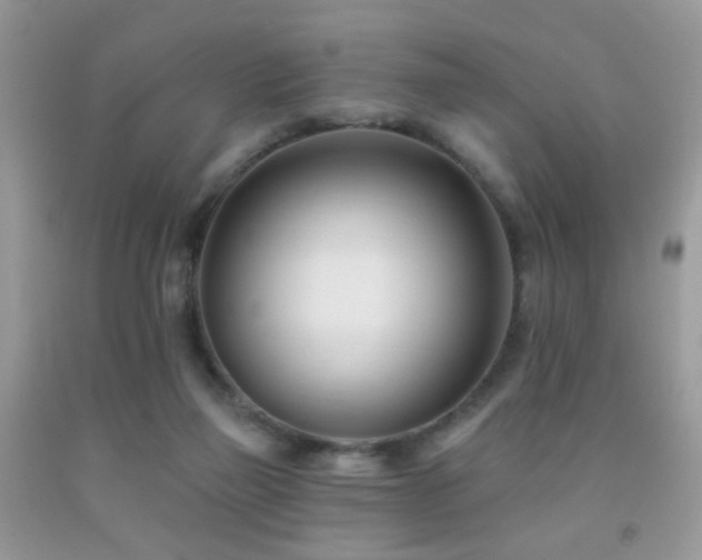 X0000091970165200709061340