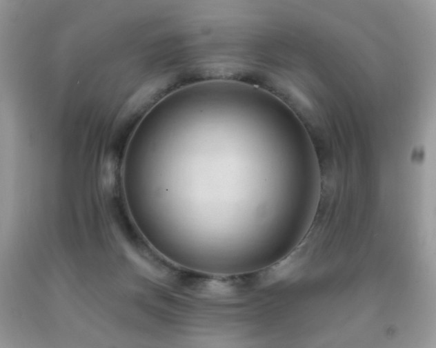 X0000091970166200709061340