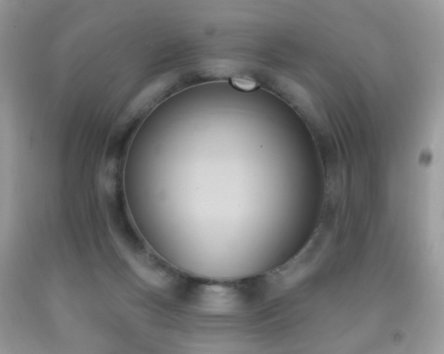 X0000091970167200709061340