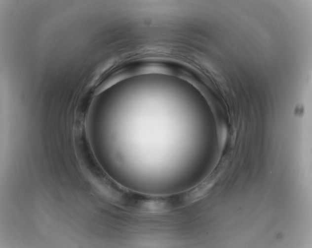 X0000091970168200709061340