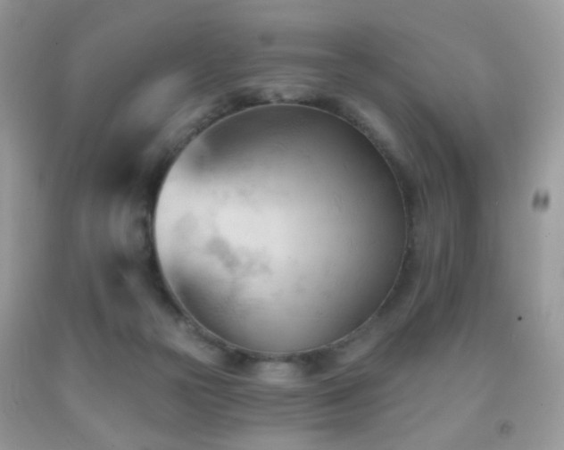 X0000091970169200709061340