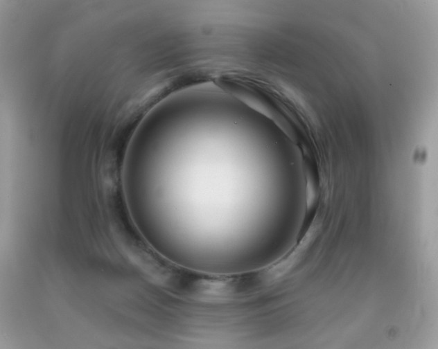 X0000091970170200709061340