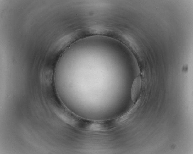 X0000091970171200709061340