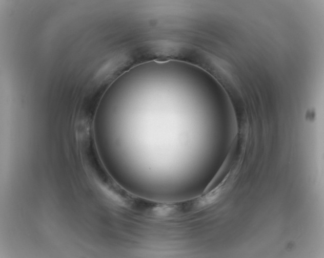 X0000091970172200709061340
