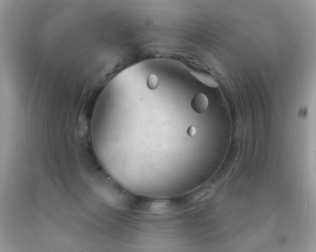 X0000091970173200709061340