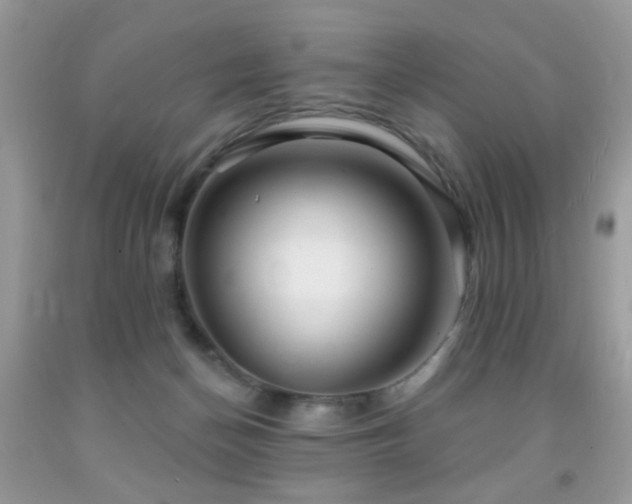 X0000091970174200709061340