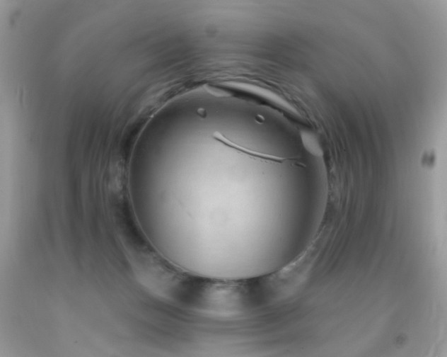 X0000091970175200709061340