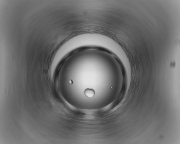 X0000091970176200709061340