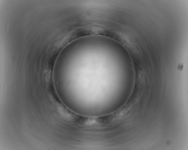 X0000091970177200709061340