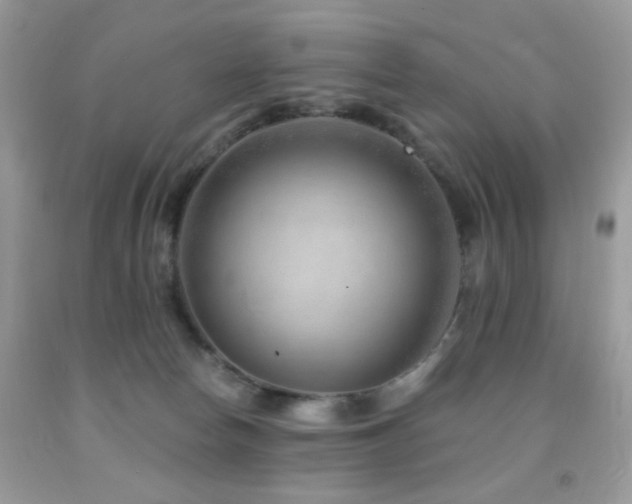 X0000091970178200709061340